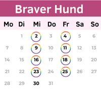 Buchungsplan für Braver Hund Intensivkurs Buchungsplan für Braver Hund Intensivkurs