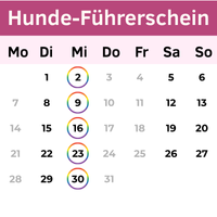 Buchungskalender Hunde-Führerschein Buchungskalender Hunde-Führerschein