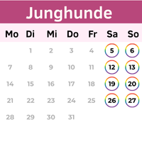 Buchungskalender für Junghundekurs Buchungskalender für Junghundekurs