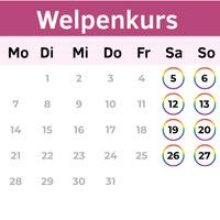 Buchungskalender Welpenkurs Buchungskalender Welpenkurs